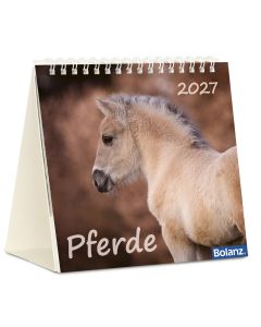 Pferde 2027 - Tischkalender
