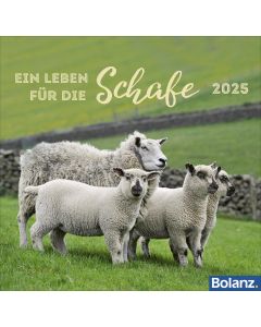 Ein Leben für die Schafe 2025