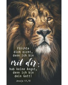 Spielkartenkalender Motiv Löwe 2027