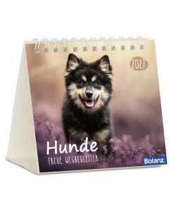 Hunde 2027 Minikalender