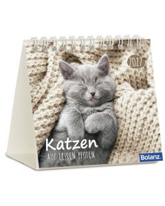 Katzen 2027 Minikalender