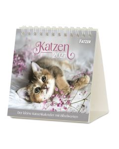 Katzen 2027 Tischkalender