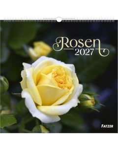 Rosen 2027 Wandkalender