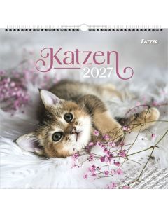Katzen 2027 Wandkalender
