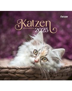 Katzen - Wandkalender 2025