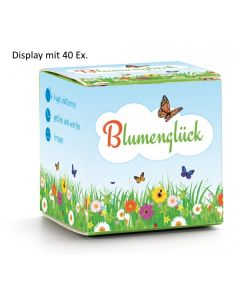 Display 'Blumenglück'