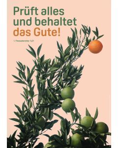 Poster A3 'Prüft alles und behaltet das Gute!               1. Thessalonicher 5,21'