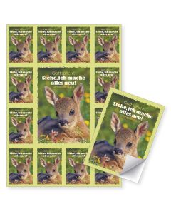Aufkleber-Grußkarten 12 Karten im Set