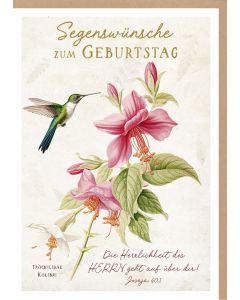 Faltkarte 'Segenswünsche zum Geburtstag'  1x                Motiv: farbenfroher Kolibri