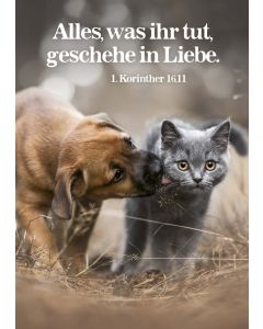 Postkarte 12 Ex. 'Alles, was ihr tut, geschehe in Liebe.'