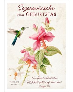 Postkarte 'Segenswünsche zum Geburtstag' 12x                Motiv: farbenfroher Kolibri