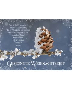 Postkarte 'Gesegnete Weihnachtszeit'  12x                   Motiv: Tannenzapfen